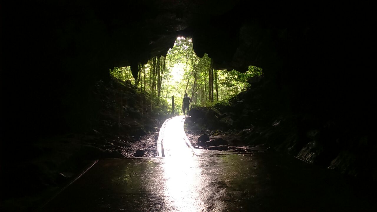 Picture shows Mr. Frangialli at the mouth of the Deer Cave in Mulu National Park.