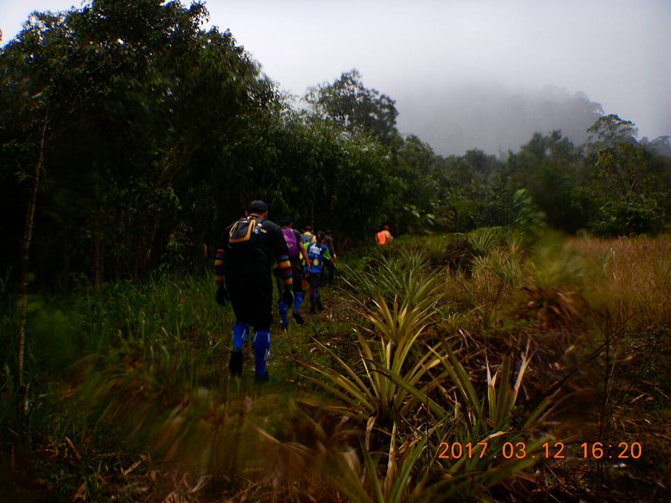 Image show Hashrunners in the jungle. Photo credit: Kota Padawan Hash House
