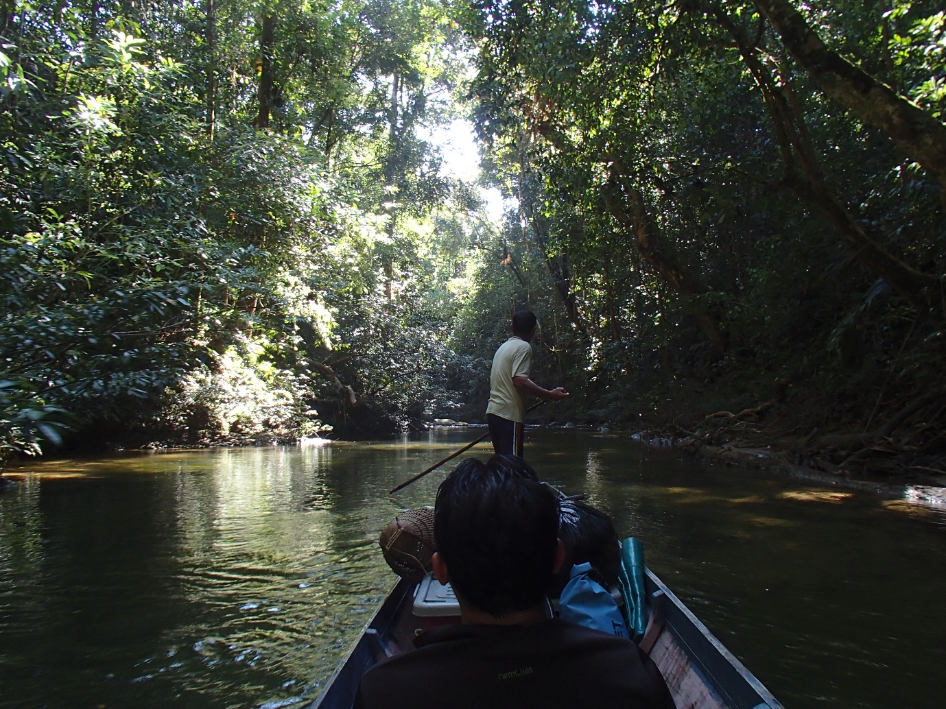 Visitor’s Information Centres (VIC) team following an animal tracking tour in Batang Ai.