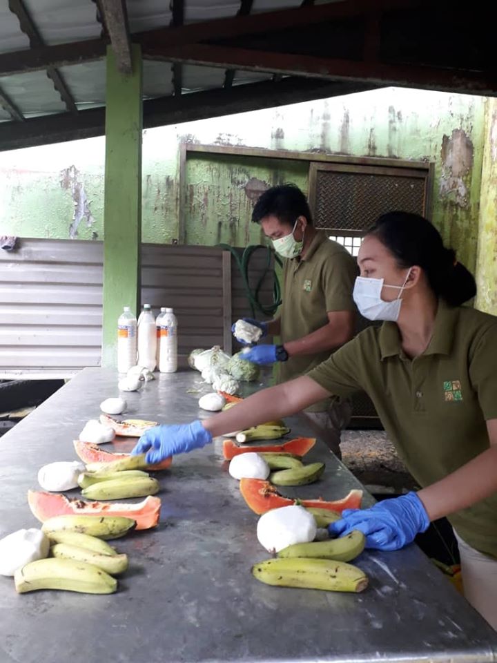 Picture shows staff at the Centre preparing meals for the animals. (Photo courtesy of Sarawak Forestry Corporation)
